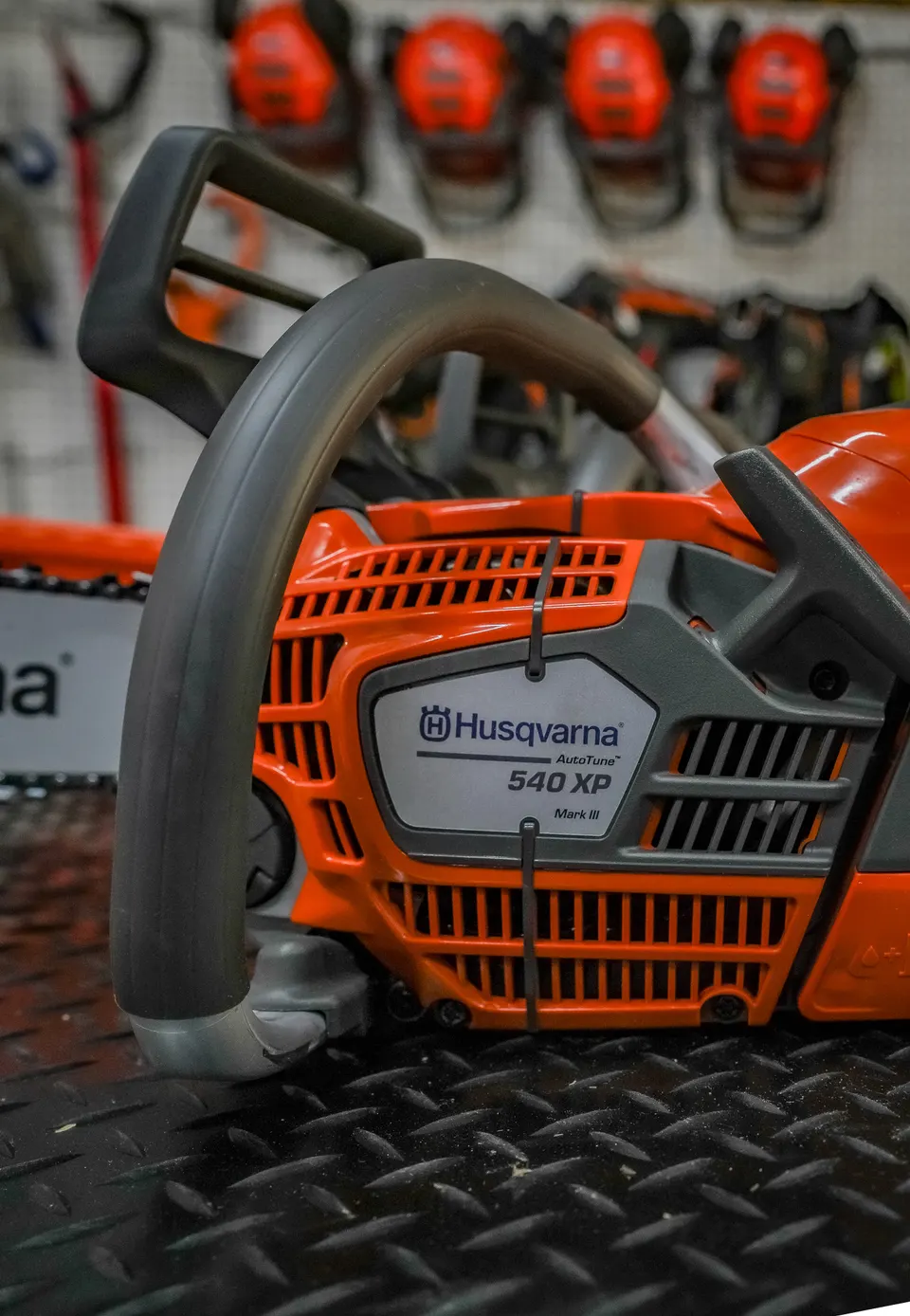 CS30 Chainsaw Maintenance and Cross-Cutting Training Course