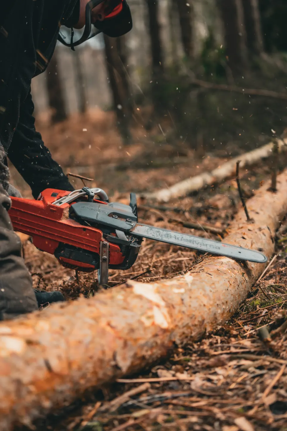 CS31 Felling Trees Up-To 380mm Training Course