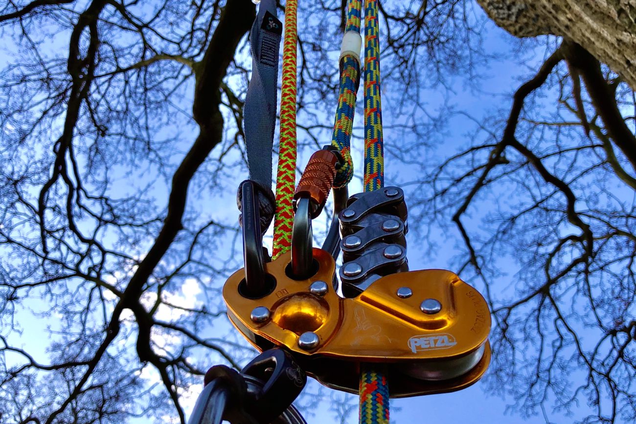 Two Rope Working Tree Surgeon Course