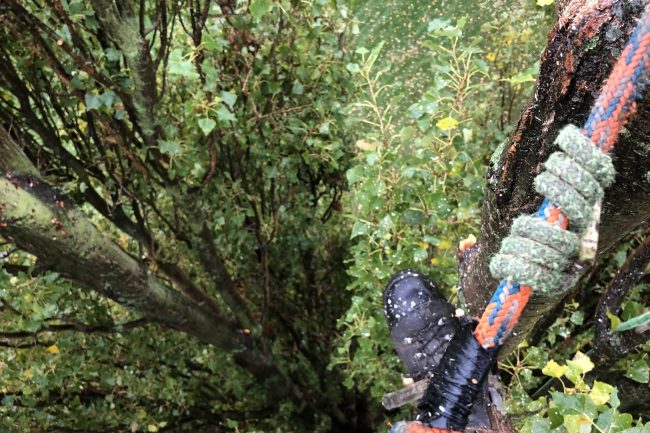 NPTC brushcutter course