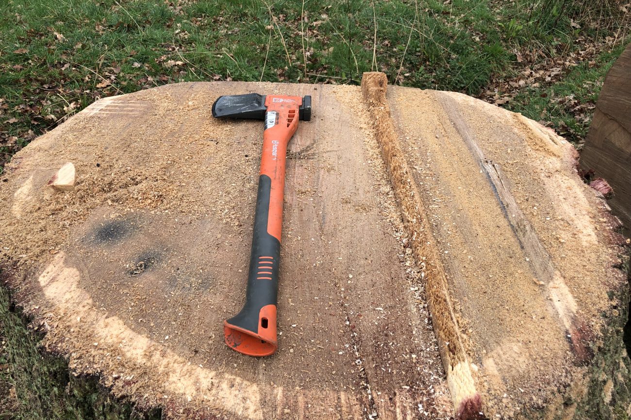 CS31 Tree Felling Course