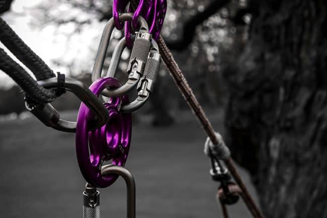 Tree Surgeon Salaries in the UK