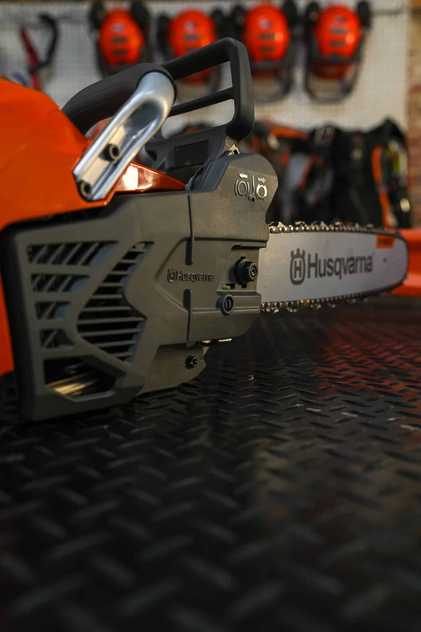 CS31 Tree felling course