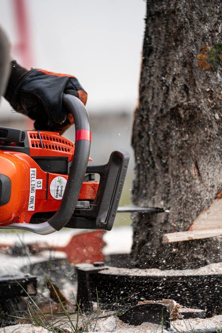 Chainsaw Training at Ground Up Training