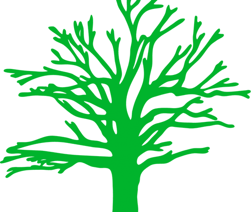 Jobs for Arborists in the UK