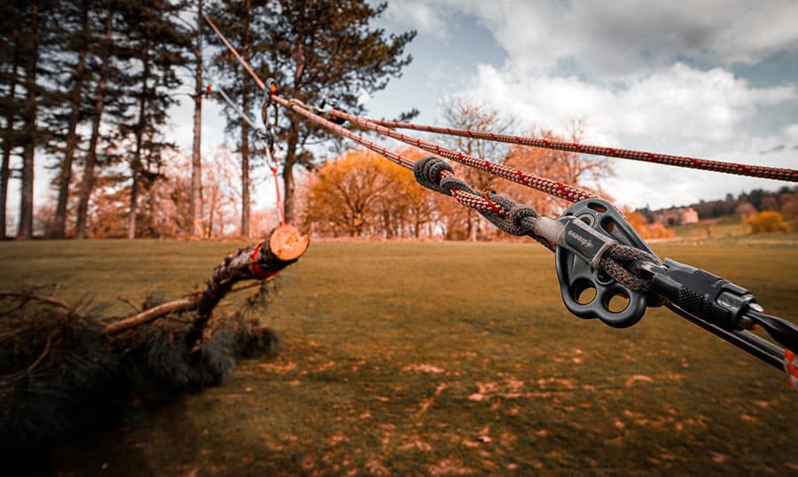 Aerial tree rigging training