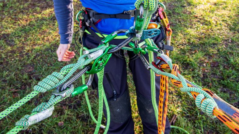Arboriculture courses Essex - tree surgery training setup with ropes and harnesses