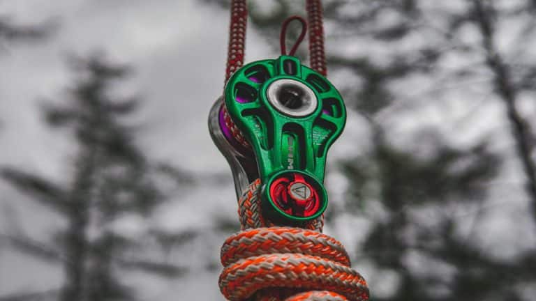 Tree surgery training equipment pulley system in a forest setting