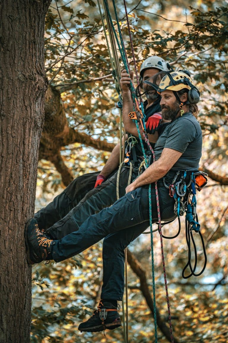 CS38 Tree Climbing Course at Ground Up Training