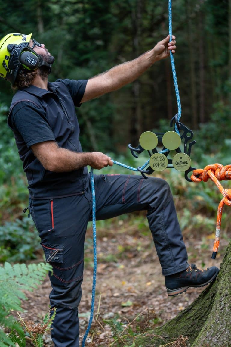 Lowering timber