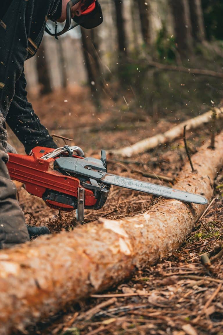 CS31 | Tree Felling Up-To 380mm training
