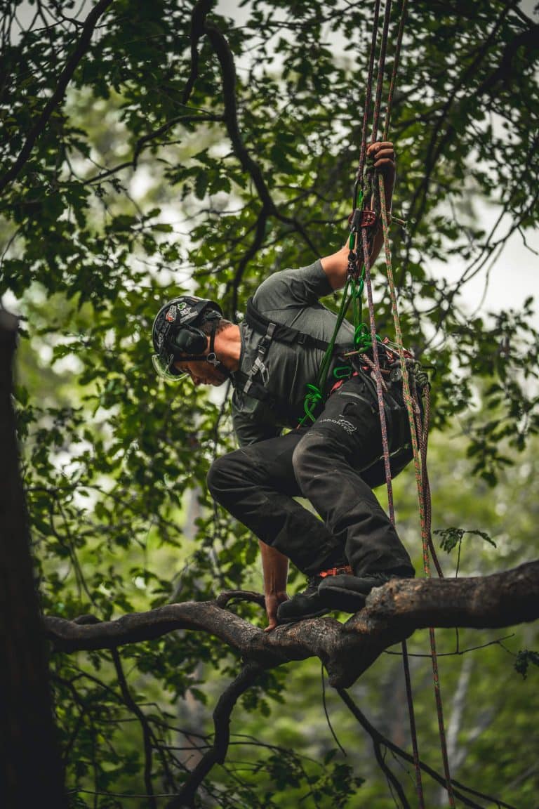 CS38 Tree Climbing Course at Ground Up Training