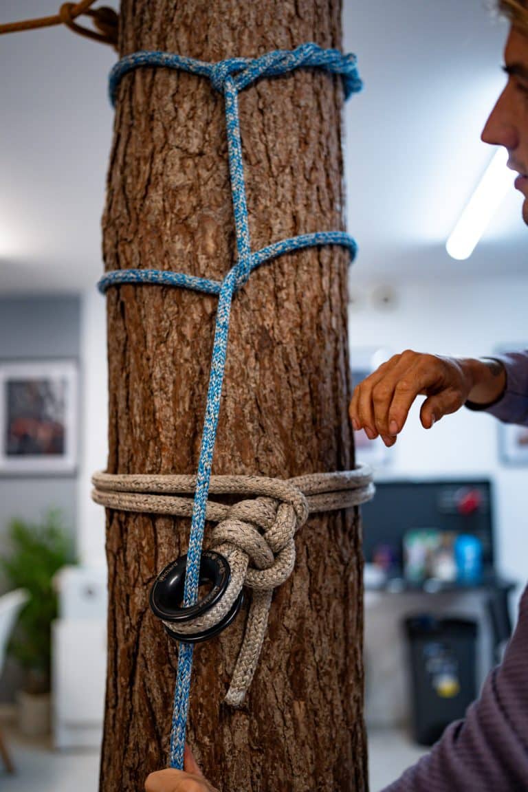 CS41 Aerial Tree Rigging course