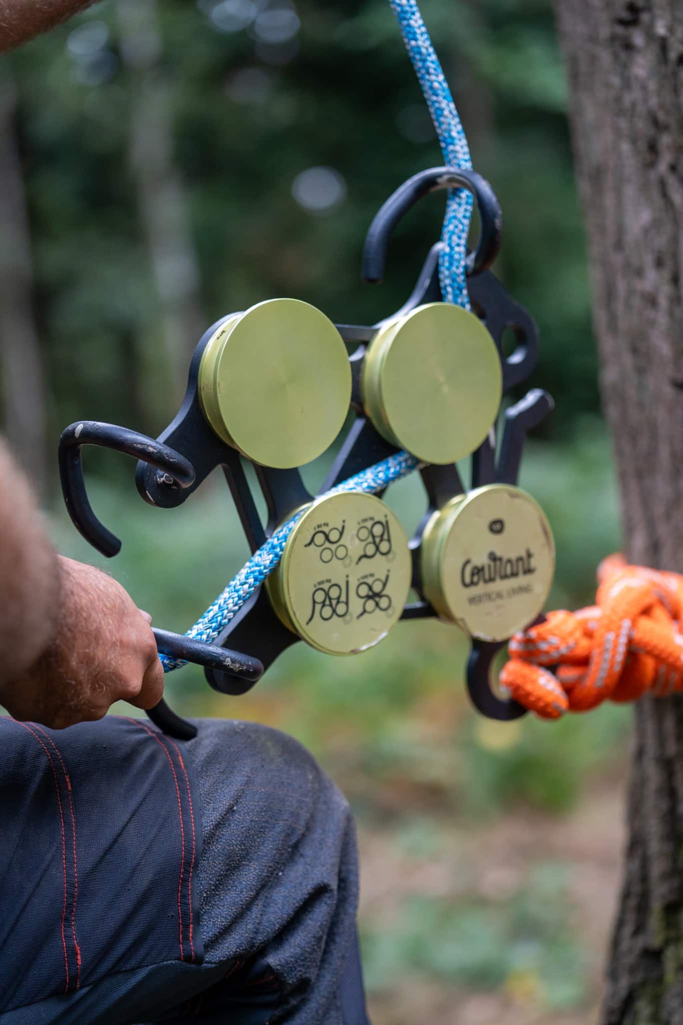 CS41 Aerial Tree Rigging course