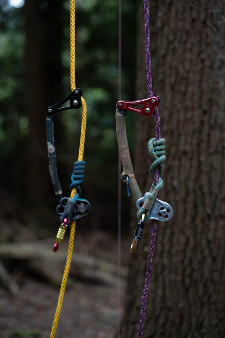 SRT Training for Arborists
