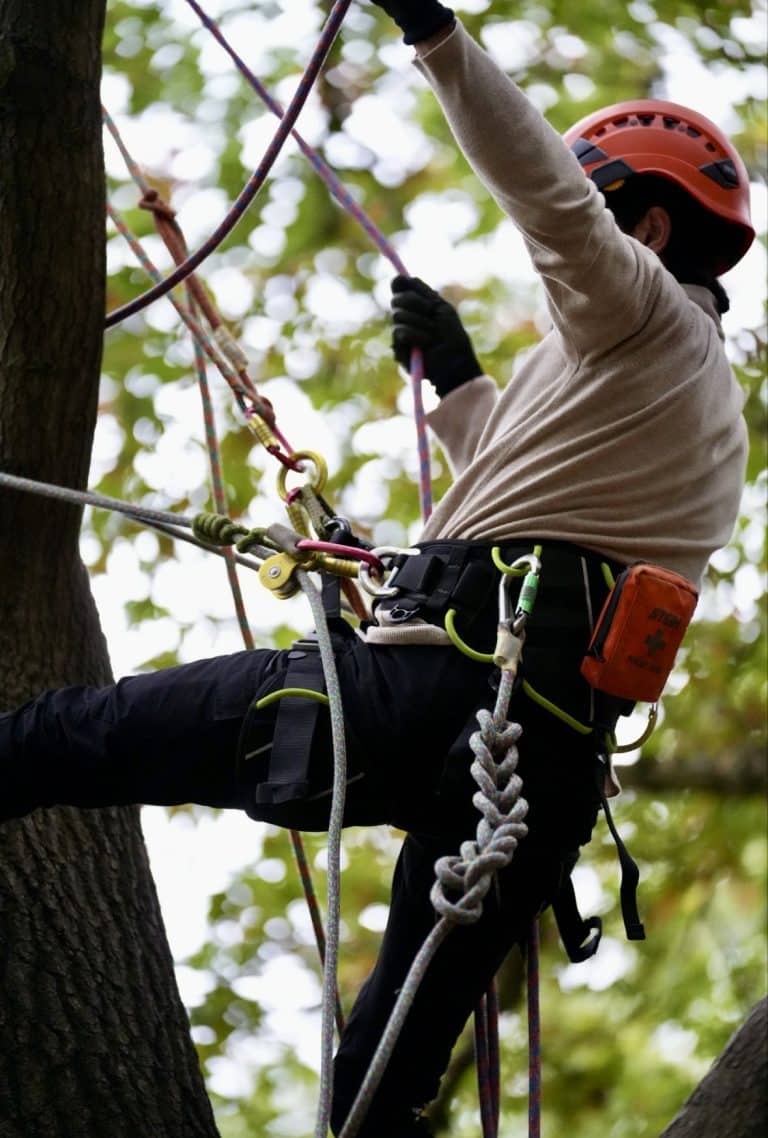 CS38 Tree Climbing & Aerial Rescue Training course