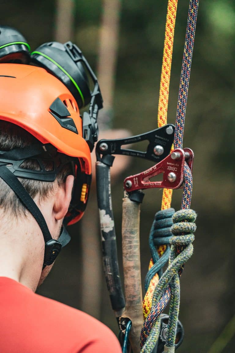 How to become a Tree Surgeon
