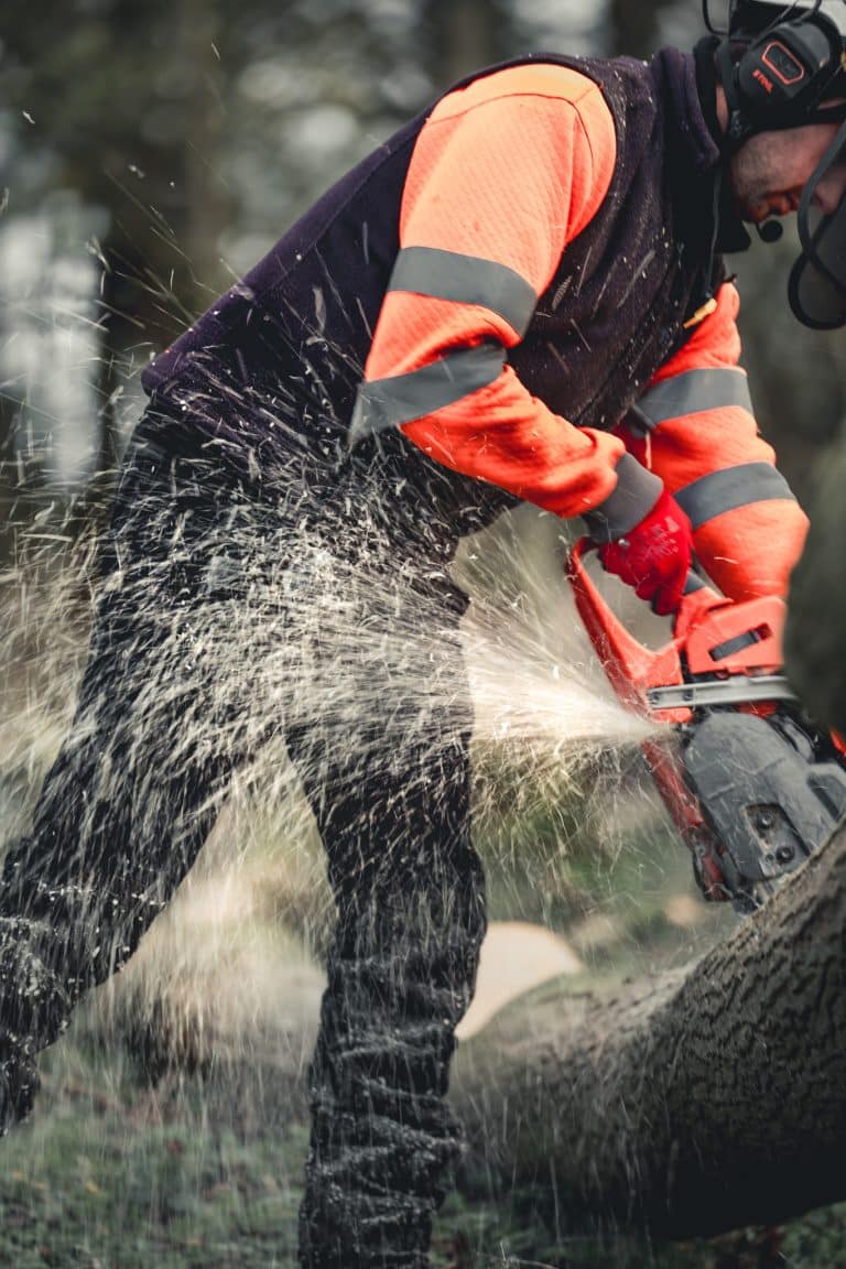CS31 Tree felling Course