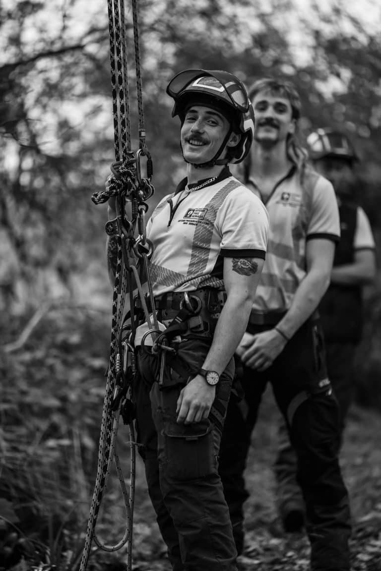 Becoming a Tree Surgeon on tree surgery course