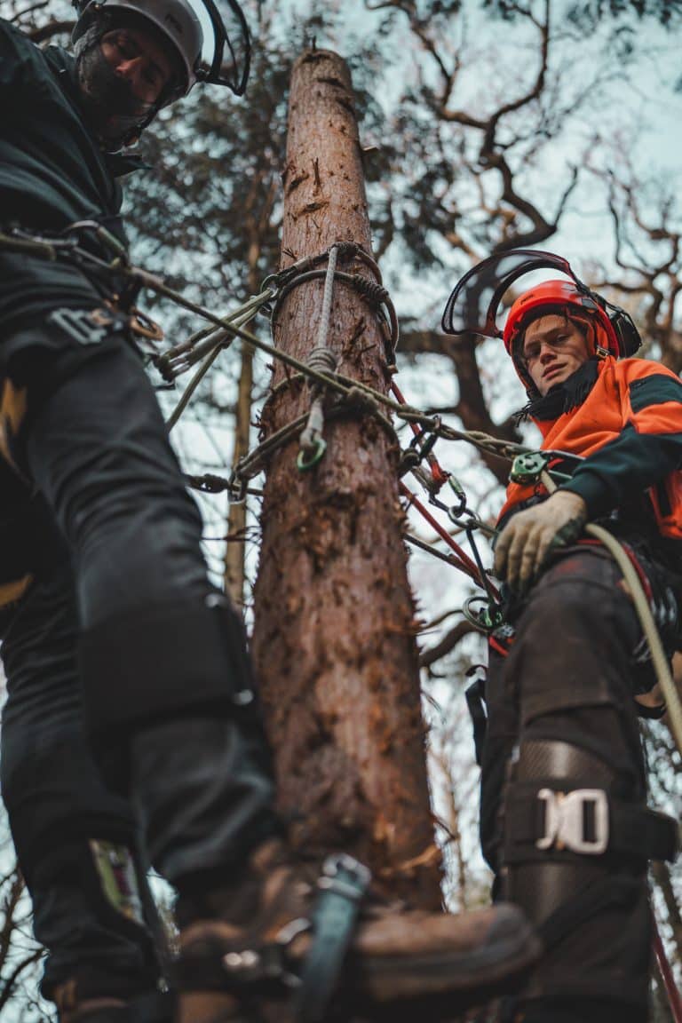 CS38 Tree Climbing & Aerial Rescue at Ground Up Training