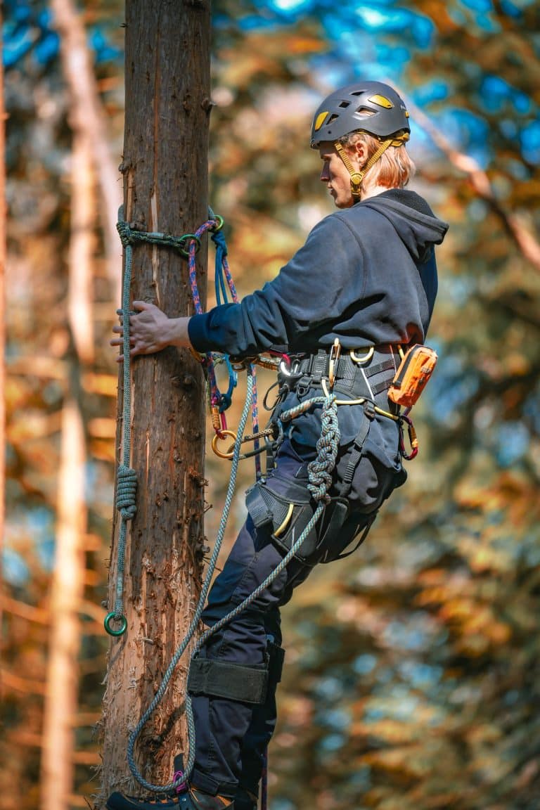 Arborist Training Package