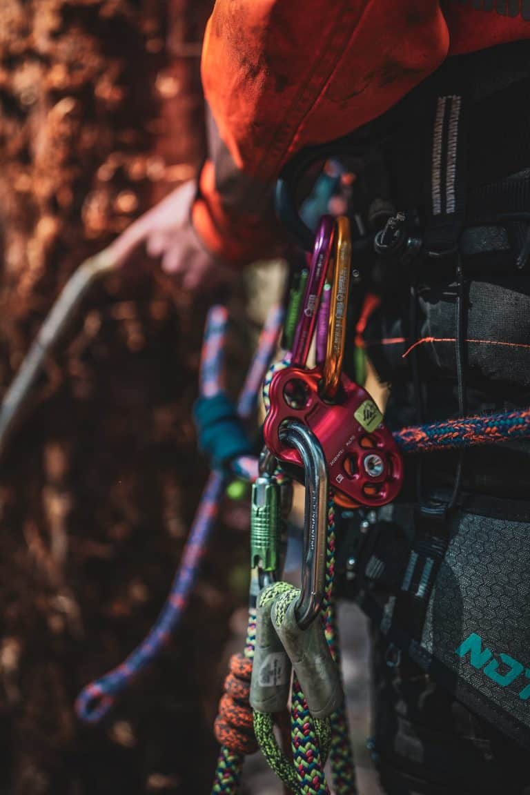 CS38 Tree Climbing & Aerial Rescue