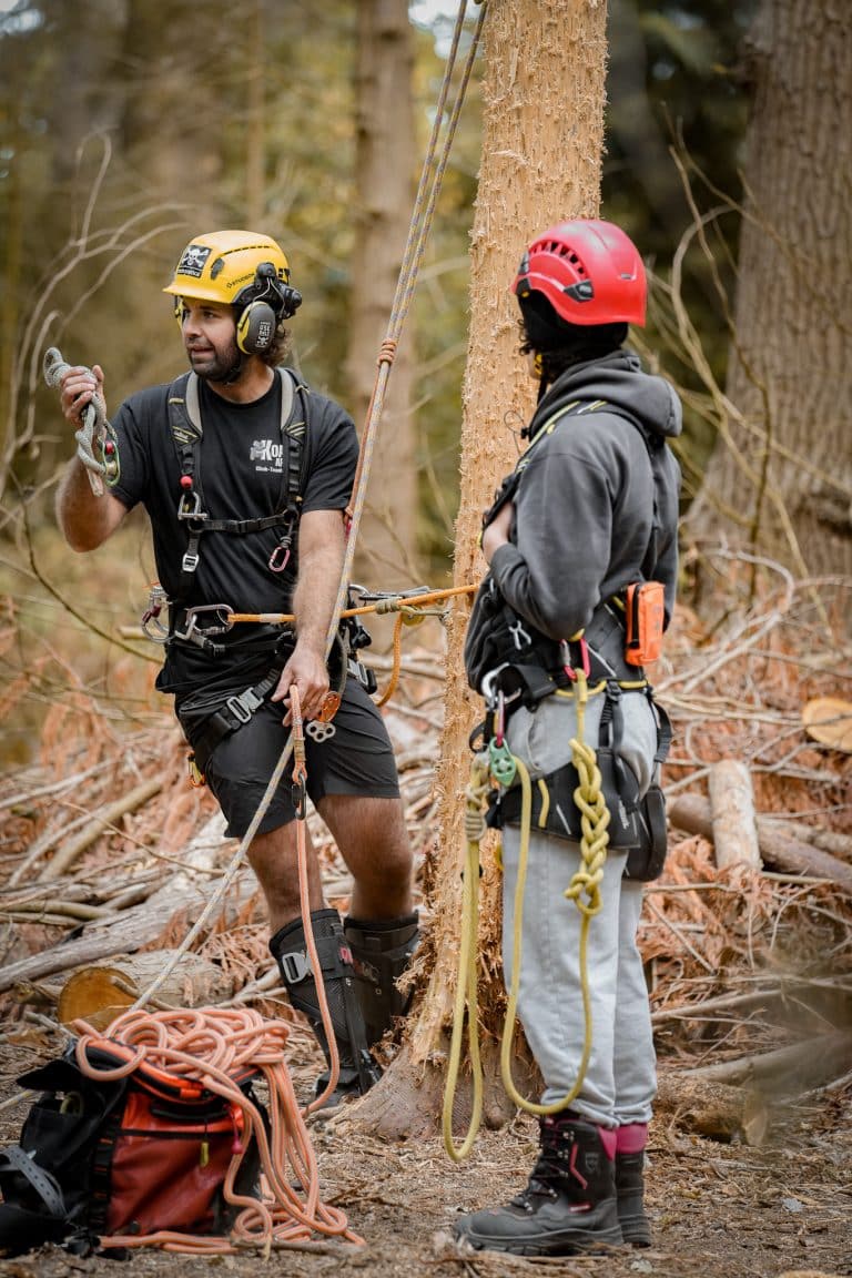 Becoming a Tree Surgeon on tree surgery course at ground up training
