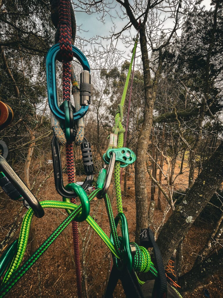 Become a tree surgeon