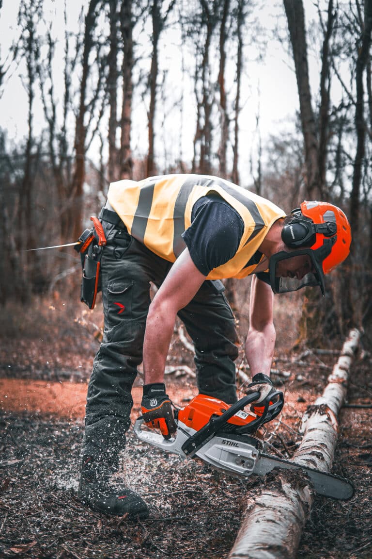 How to become a tree surgeon