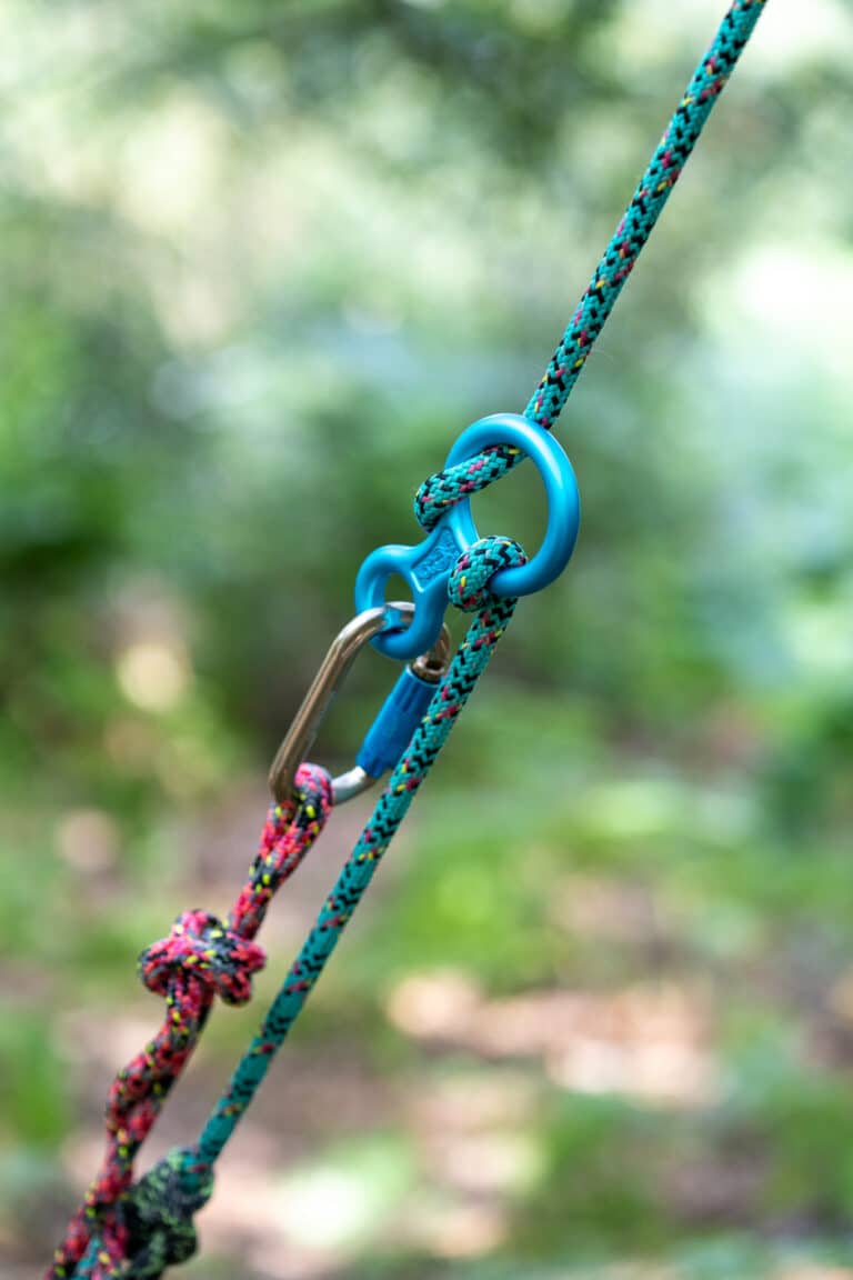 Tree Climbing Course Essex