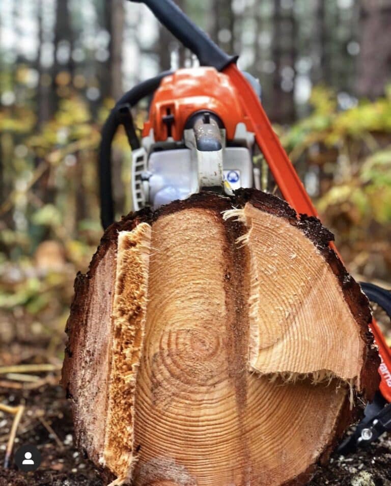 Learn how to cut trees