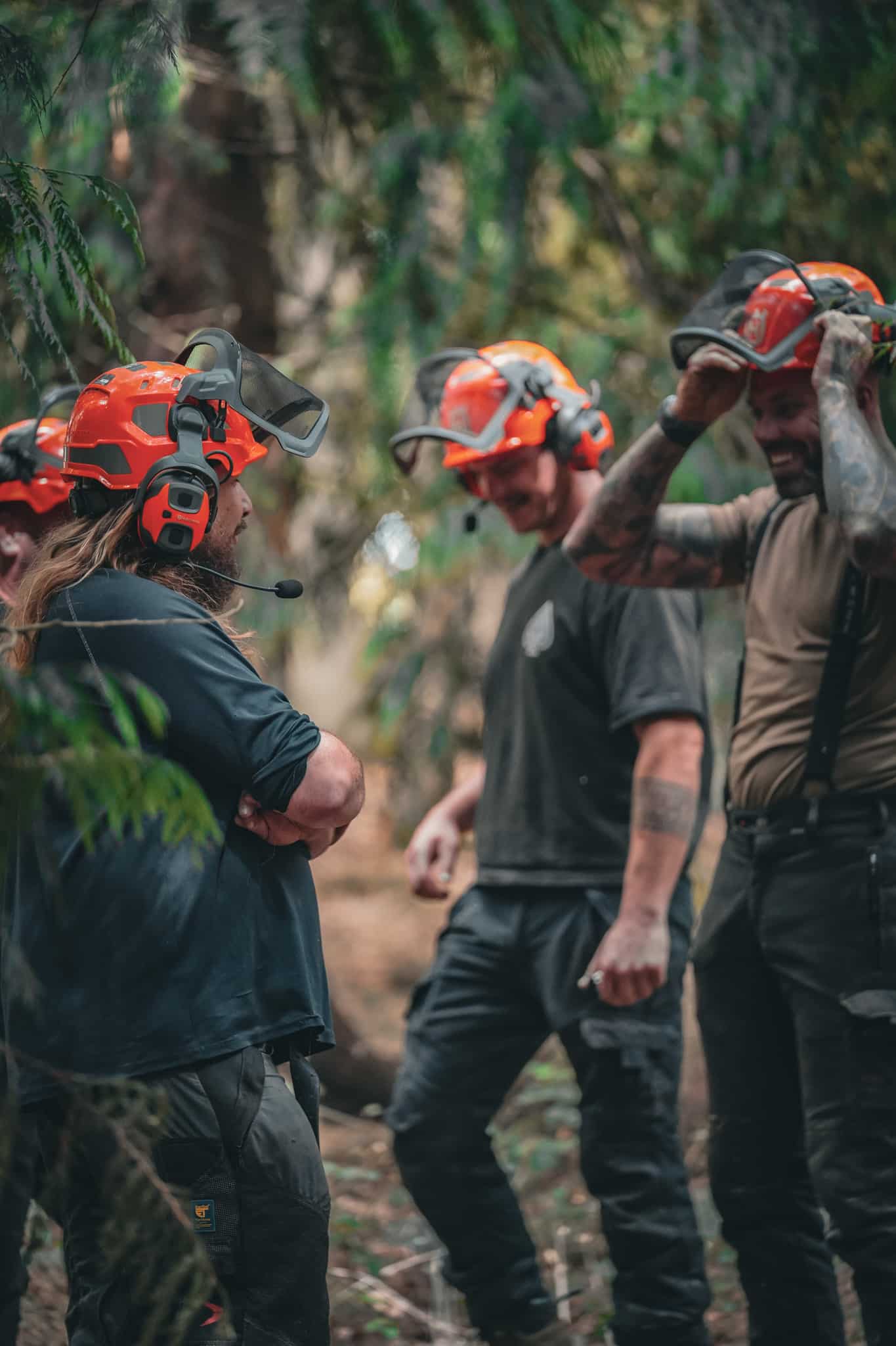 Tree Felling Course Essex