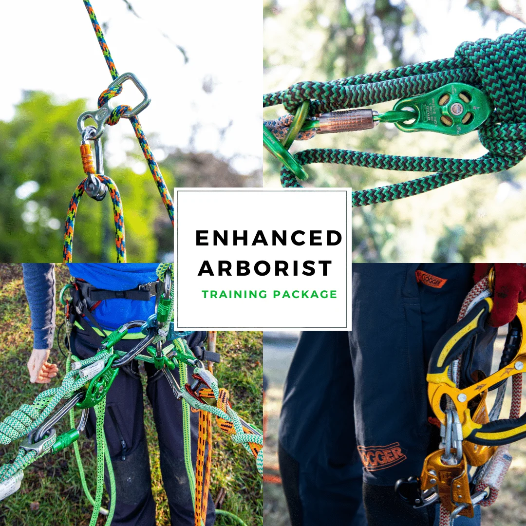 Enhanced Arborist Training Package